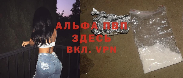 индика Белокуриха