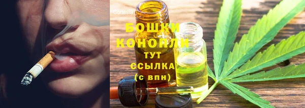 индика Белокуриха