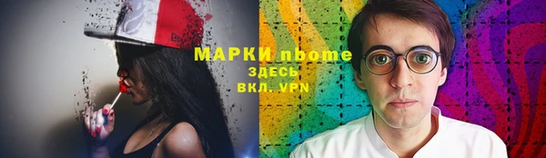 индика Белокуриха