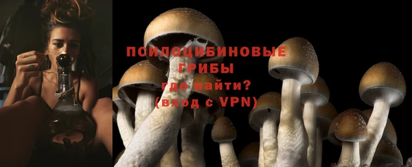 индика Белокуриха