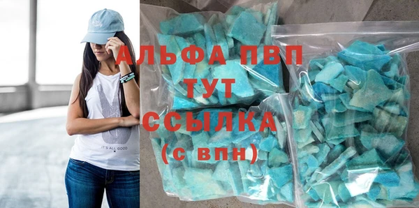 индика Белокуриха