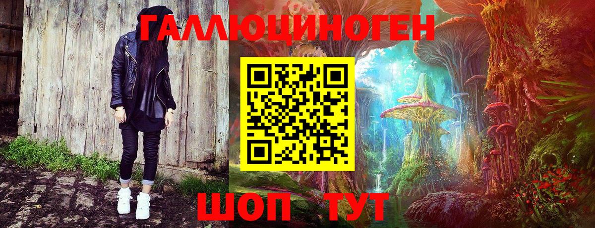 Псилоцибиновые грибы GOLDEN TEACHER  Вход с VPN  закладка  Лыткарино  Псилоцибиновые грибы Psilocybe 